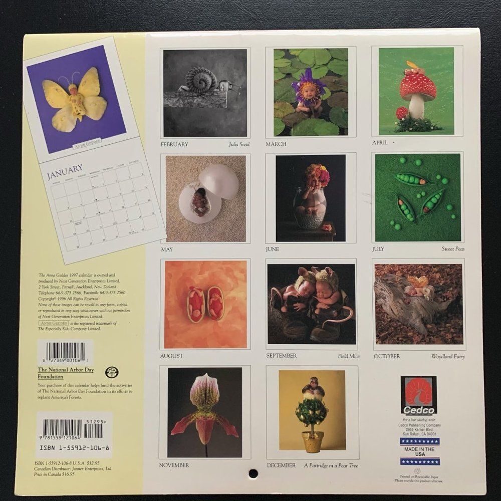Ann Geddes elaborately-staged infant photos 1997 calendar 9781559121064